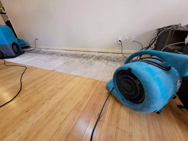 Professional Emergency Water Damage technician working in Collegeville, MN